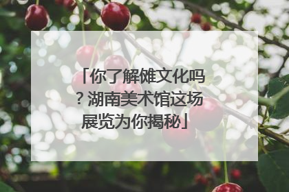 你了解傩文化吗？湖南美术馆这场展览为你揭秘