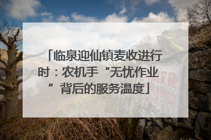 临泉迎仙镇麦收进行时：农机手“无忧作业”背后的服务温度