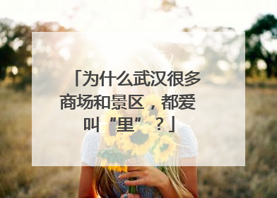 为什么武汉很多商场和景区，都爱叫“里”？