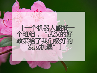 一个机器人能抵一个班组，“武汉的好政策给了我们极好的发展机遇”