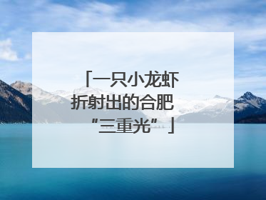 一只小龙虾折射出的合肥“三重光”