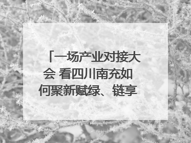 一场产业对接大会 看四川南充如何聚新赋绿、链享未来｜打赢经济发展翻身仗