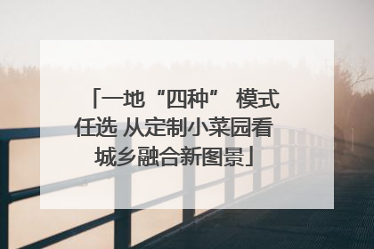 一地“四种” 模式任选 从定制小菜园看城乡融合新图景