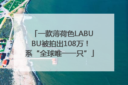 一款薄荷色LABUBU被拍出108万！系“全球唯一一只”