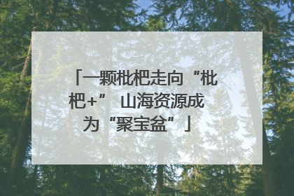 一颗枇杷走向“枇杷+” 山海资源成为“聚宝盆”
