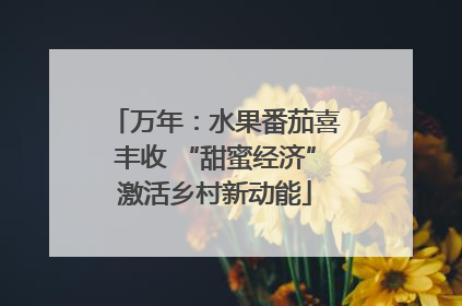 万年：水果番茄喜丰收 “甜蜜经济”激活乡村新动能