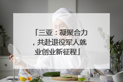 三亚：凝聚合力，共赴退役军人就业创业新征程