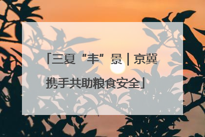 三夏“丰”景｜京冀携手共助粮食安全