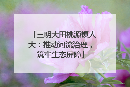 三明大田桃源镇人大：推动河流治理，筑牢生态屏障