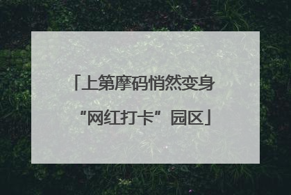 上第摩码悄然变身“网红打卡”园区