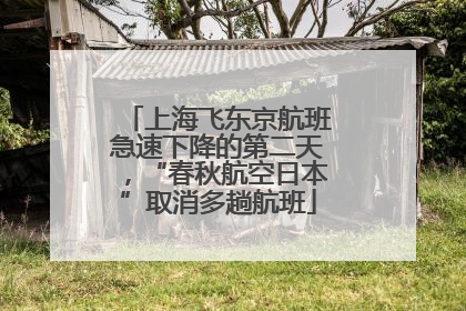 上海飞东京航班急速下降的第二天，“春秋航空日本”取消多趟航班