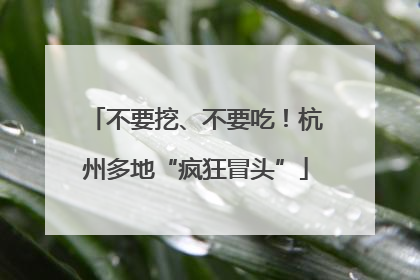 不要挖、不要吃！杭州多地“疯狂冒头”