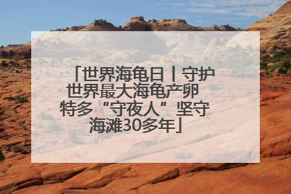 世界海龟日丨守护世界最大海龟产卵 特多“守夜人”坚守海滩30多年