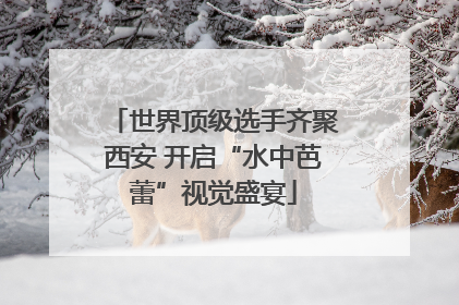世界顶级选手齐聚西安 开启“水中芭蕾”视觉盛宴
