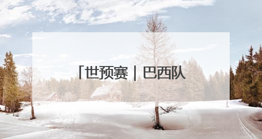世预赛｜巴西队战平厄瓜多尔队