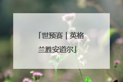 世预赛｜英格兰胜安道尔