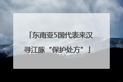东南亚5国代表来汉寻江豚“保护处方”