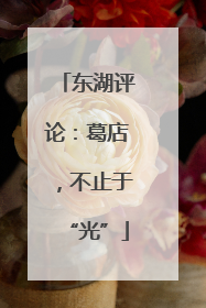 东湖评论：葛店，不止于“光”