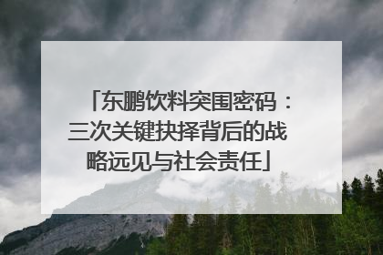 东鹏饮料突围密码：三次关键抉择背后的战略远见与社会责任