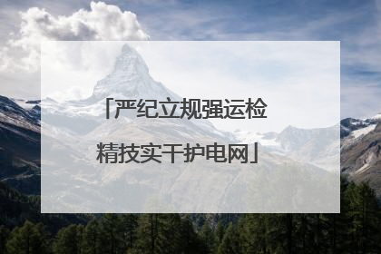 严纪立规强运检 精技实干护电网