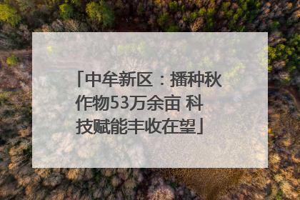 中牟新区：播种秋作物53万余亩 科技赋能丰收在望