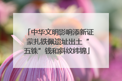 中华文明影响添新证 蒙扎铁佩遗址出土“五铢”钱和斜纹纬锦