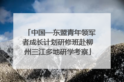 中国—东盟青年领军者成长计划研修班赴柳州三江多地研学考察