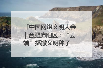 中国网络文明大会｜合肥庐阳区：“云端”播撒文明种子 共建清朗网络空间