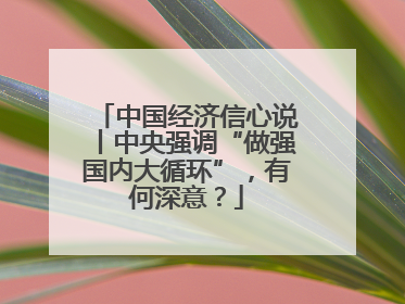 中国经济信心说丨中央强调“做强国内大循环”，有何深意？