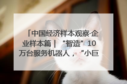 中国经济样本观察·企业样本篇｜“智造”10万台服务机器人，“小巨人”擎朗有大梦想