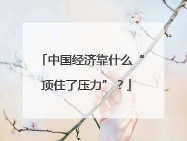 中国经济靠什么“顶住了压力”？