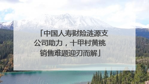 中国人寿财险涟源支公司助力，十甲村黄桃销售难题迎刃而解