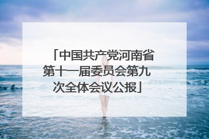 中国共产党河南省第十一届委员会第九次全体会议公报
