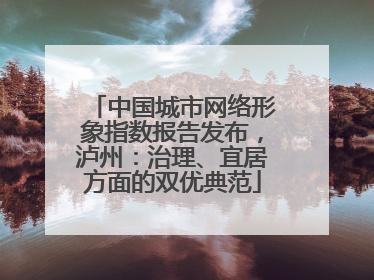 中国城市网络形象指数报告发布，泸州：治理、宜居方面的双优典范