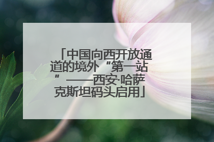 中国向西开放通道的境外“第一站”——西安·哈萨克斯坦码头启用