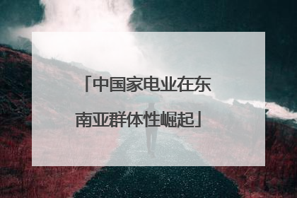 中国家电业在东南亚群体性崛起