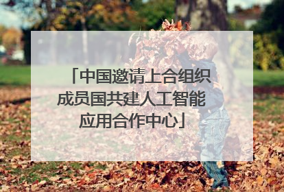 中国邀请上合组织成员国共建人工智能应用合作中心