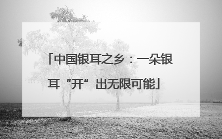 中国银耳之乡：一朵银耳“开”出无限可能