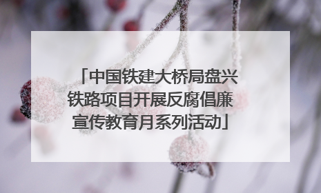中国铁建大桥局盘兴铁路项目开展反腐倡廉宣传教育月系列活动