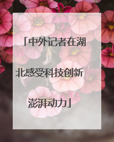 中外记者在湖北感受科技创新澎湃动力