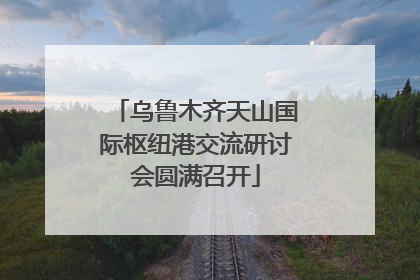 乌鲁木齐天山国际枢纽港交流研讨会圆满召开