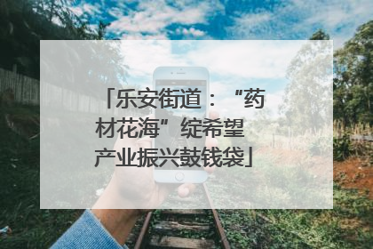 乐安街道：“药材花海”绽希望 产业振兴鼓钱袋