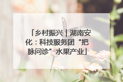 乡村振兴｜湖南安化：科技服务团“把脉问诊”水果产业