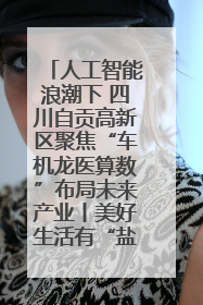 人工智能浪潮下 四川自贡高新区聚焦“车机龙医算数”布局未来产业丨美好生活有“盐”味