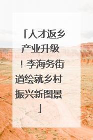 人才返乡 产业升级！李海务街道绘就乡村振兴新图景