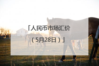 人民币市场汇价（5月28日）