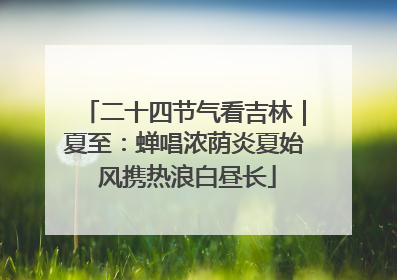 二十四节气看吉林｜夏至：蝉唱浓荫炎夏始 风携热浪白昼长