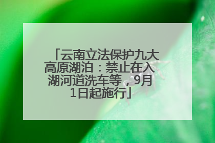 云南立法保护九大高原湖泊：禁止在入湖河道洗车等，9月1日起施行