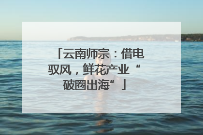 云南师宗：借电驭风，鲜花产业“破圈出海”