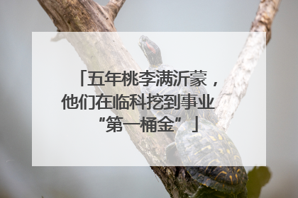 五年桃李满沂蒙，他们在临科挖到事业“第一桶金”